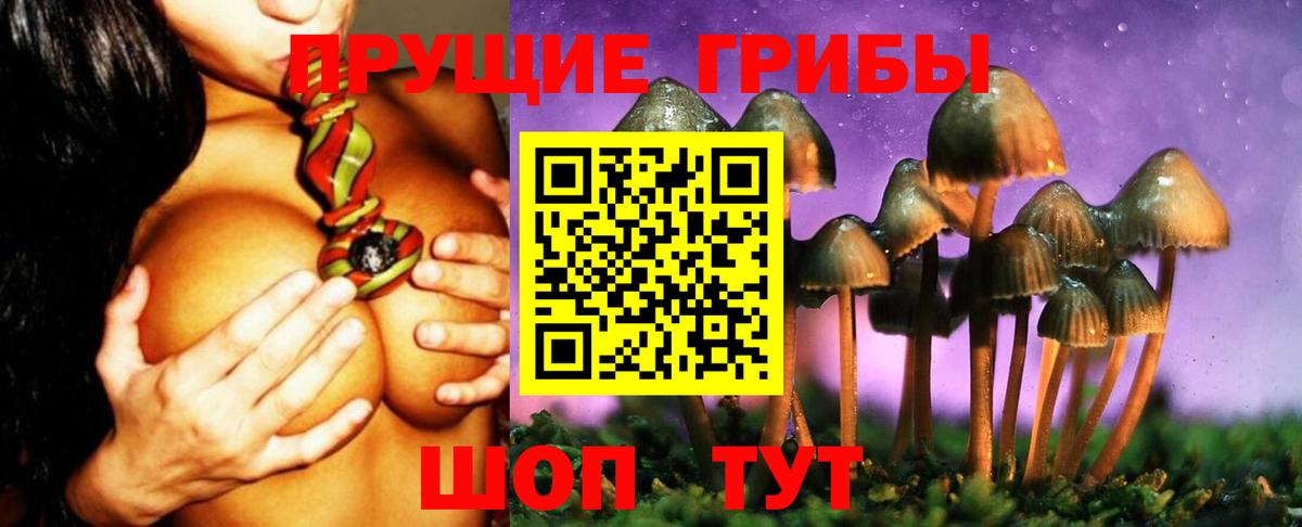 Надым  Галлюциногенные грибы Magic Shrooms  наркошоп  Вход с VPN  Галлюциногенные грибы Cubensis 