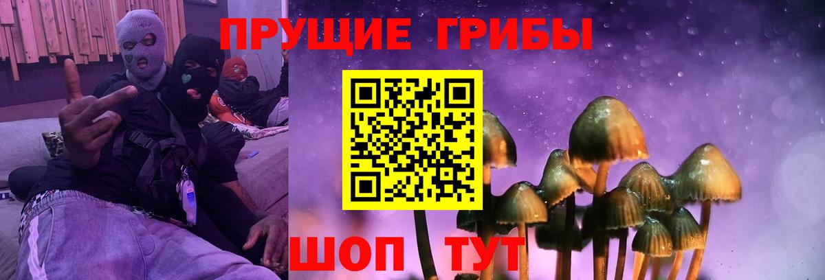 Галлюциногенные грибы Psilocybe Надым
